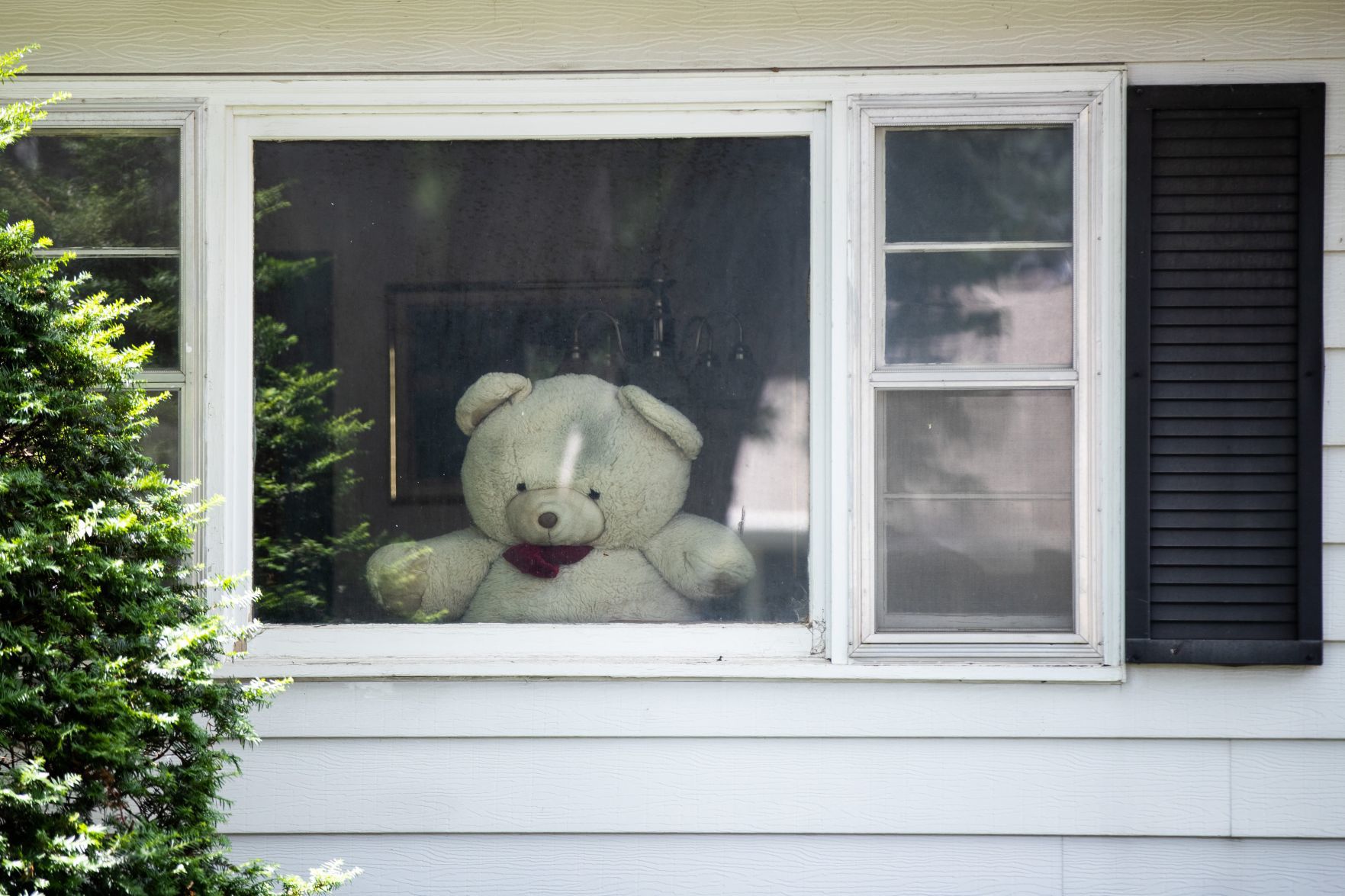 Hello Teddy
